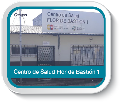 Centro De Salud Tipo B Flor De Bastion Ministerio De Salud Publica