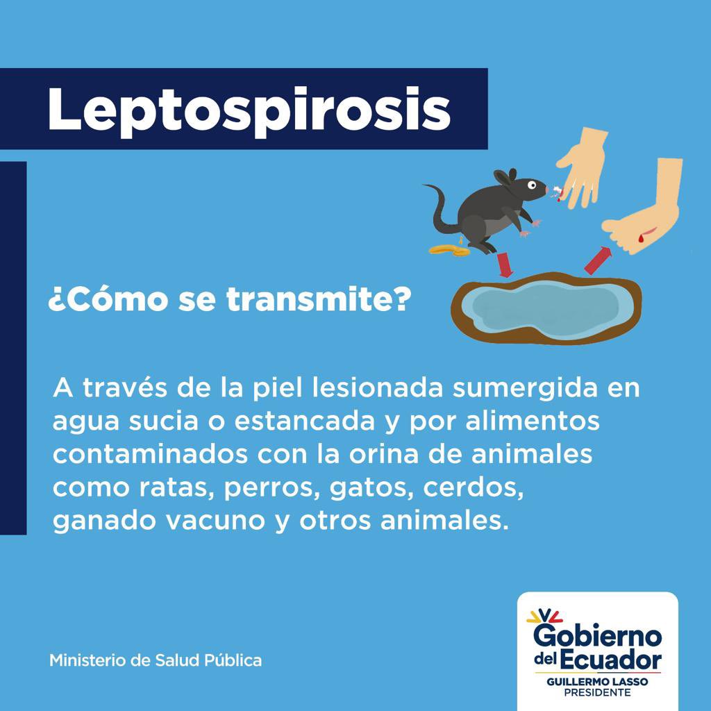 Epidemiological surveillance system in Ecuador reported on an outbreak of leptospirosis in Durán – Ministry of Public Health