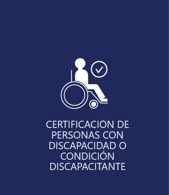 DISCAPACIDADES